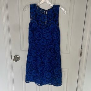 Royal blue lace BB Dakota dress size 4